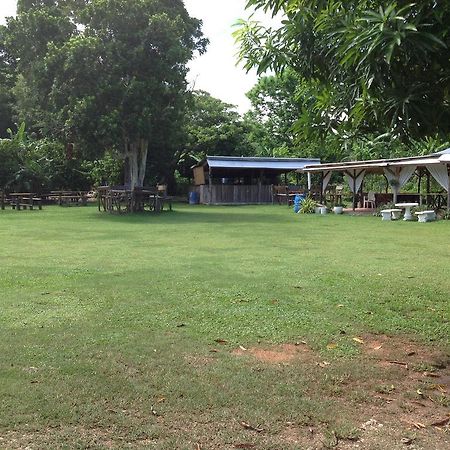 Chillax On Our Farm Guest House Ocho Rios Exterior foto