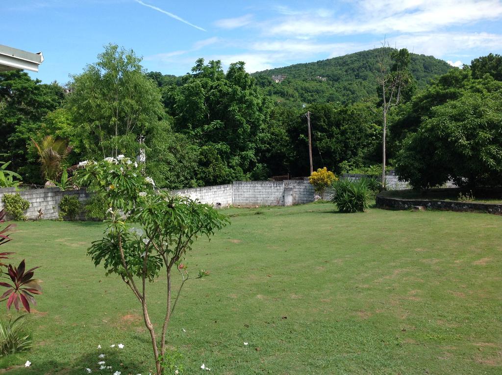 Chillax On Our Farm Guest House Ocho Rios Exterior foto