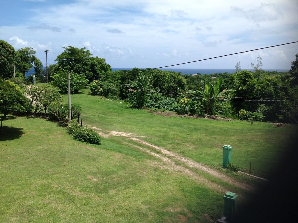 Chillax On Our Farm Guest House Ocho Rios Exterior foto