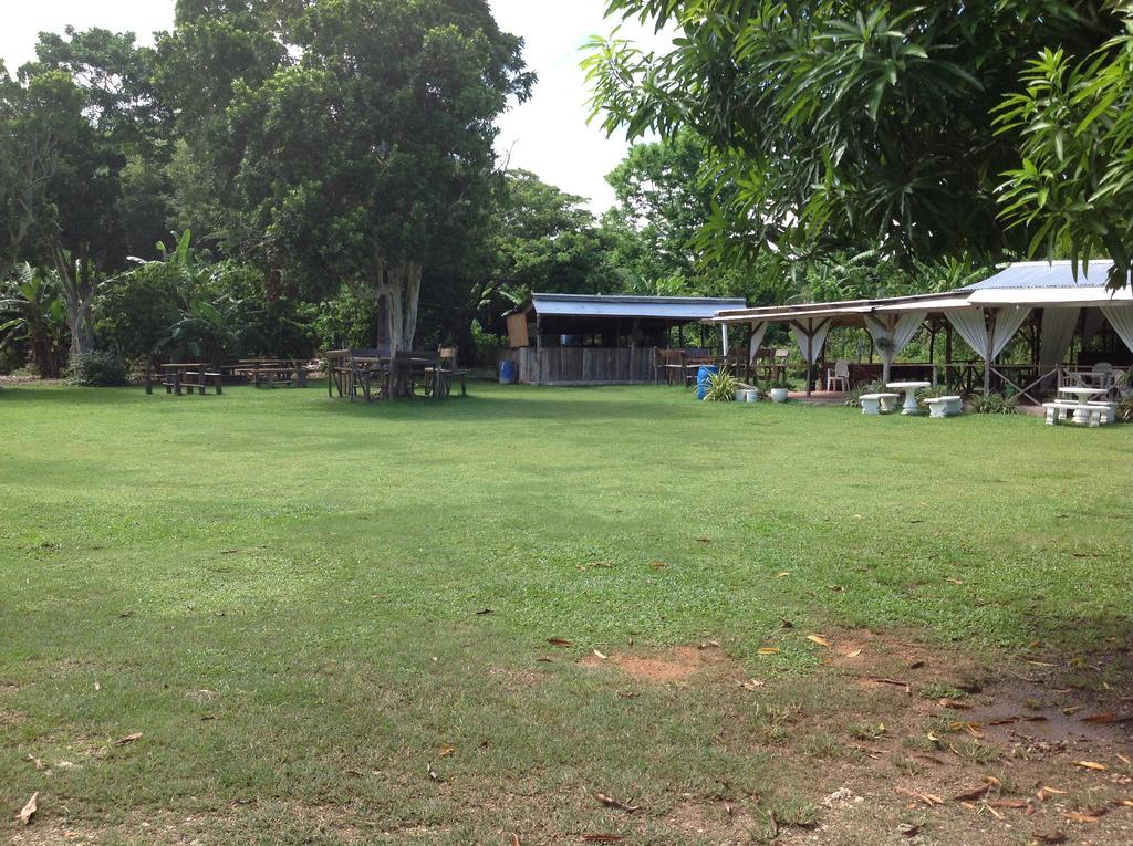 Chillax On Our Farm Guest House Ocho Rios Exterior foto